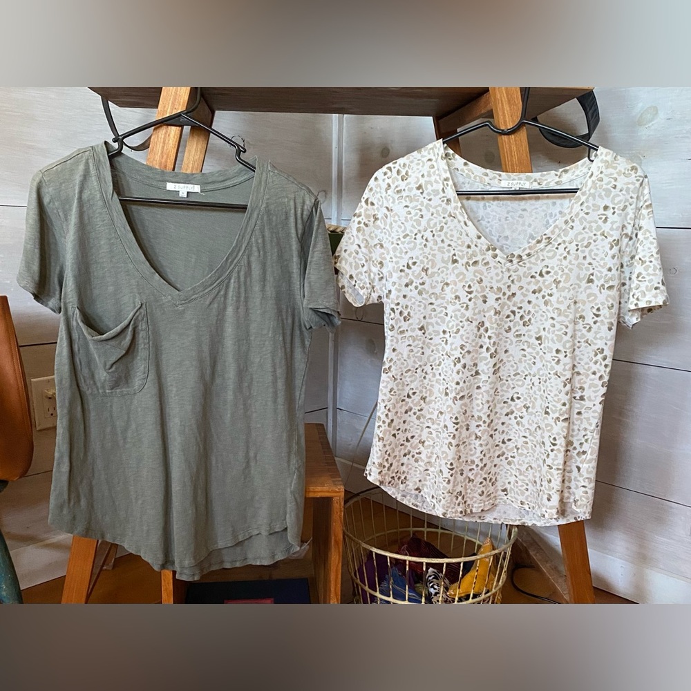 2 Z Supply V-Neck Tees size M